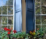 Historic Charleston home boasts charming window box with colorful flowers.